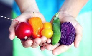 El secreto de las verduras está en la fibra y las calorías: no solo para perder peso, sino también para tardar en recuperarlo