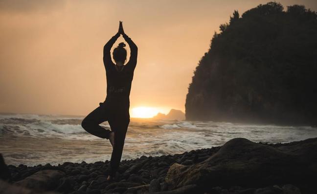 ¿Hatha o vinyasa yoga? Descubre qué tipo de yoga es el mejor para ti