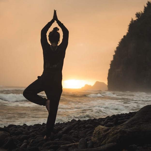 ¿Hatha o vinyasa yoga? Descubre qué tipo de yoga es el mejor para ti