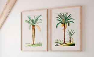 Cuadros botánicos, la tendencia viral de decoración que va a llenar tu pared de naturaleza retro