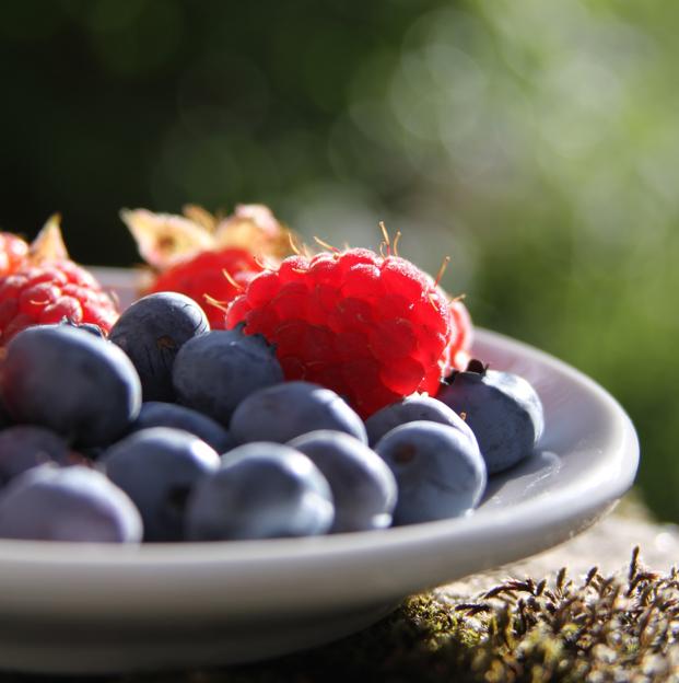 Ciruelas: cinco razones (nutritivas y saludables) para incluirlas en tu dieta