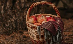 De las manzanas al kiwi: las mejores frutas con efecto laxante natural