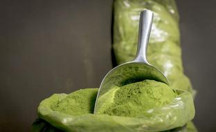 La moringa es el suplemento nutritivo y antioxidante que además reduce el azúcar y el colesterol