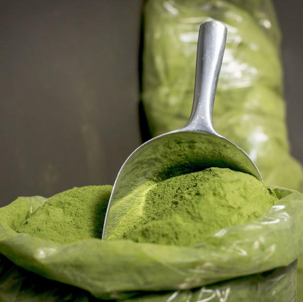 La moringa es el suplemento nutritivo y antioxidante que además reduce el azúcar y el colesterol