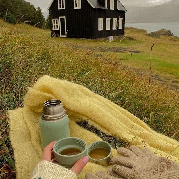 Té de jengibre en ayunas, la infusión templada para eliminar grasas, acelerar el metabolismo y mejorar la digestión