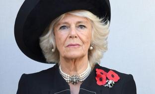 Por qué Diana de Gales la llamaba la rottweiler: hablamos con los que más saben de Camilla, la ya reina consorte de Inglaterra