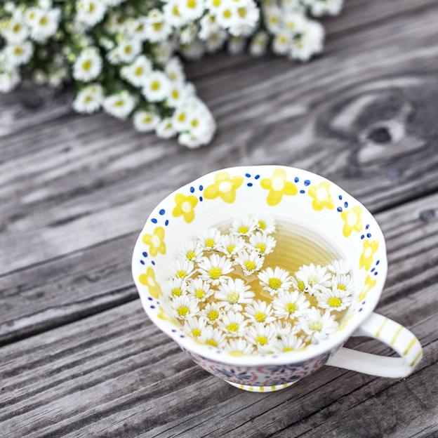 La infusión de Mercadona que contiene té verde, alcachofa y cola de caballo y que te ayuda a adelgazar y tonificar la figura