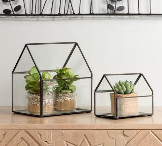 Las mini plantas son perfecta para crear un pequeño oasis dentro de casa.