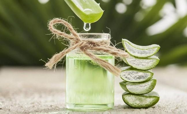 El zumo de aloe vera es la bebida perfecta para tomar en ayunas porque deshincha la tripa y adelgaza