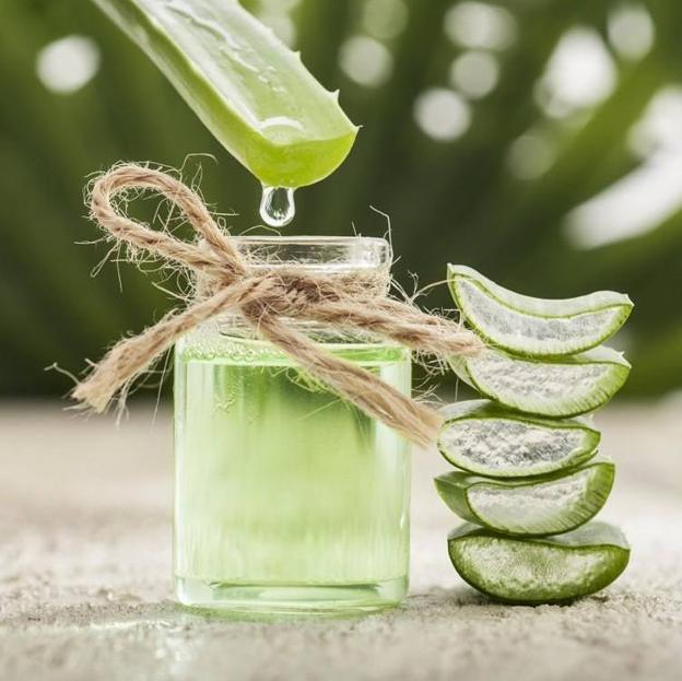 El zumo de aloe vera es la bebida perfecta para tomar en ayunas porque deshincha la tripa y adelgaza