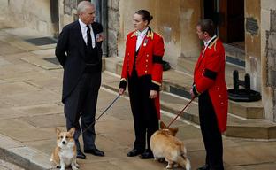 Traiciones, complots y maltrato: cómo el príncipe Andrés se ha convertido en el villano de la familia real británica