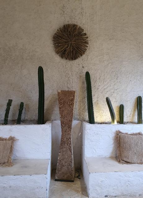 Las formas escultóricas de los cactus la convierten en una opción perfecta de decoración/PEXELS