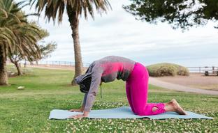 Bidalasana o postura del gato: yoga básico para conseguir la flexibilidad