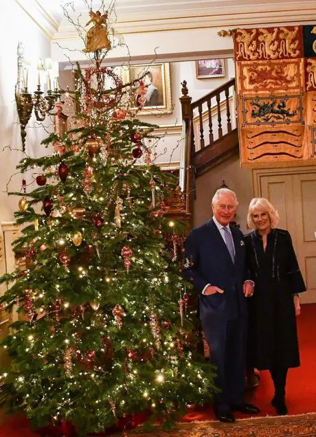 Carlos y Camilla junto a su árbol de Navidad en Clarence House. Foto: Instagram @clarencehouse