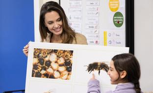 Angelina Jolie colabora en la Bee School de Guerlain para concienciar a los más pequeños sobre la conservación de las abejas