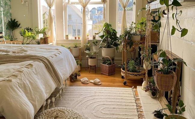 Las cinco plantas de interior más resistentes y fáciles de cuidar para elevar la decoración de tu hogar