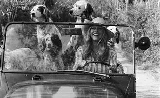 Celine eleva el icónico coche de Brigitte Bardot a objeto de deseo