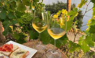 Los vinos blancos por menos de 10 euros que son perfectos para acompañar tus comidas y cenas este verano