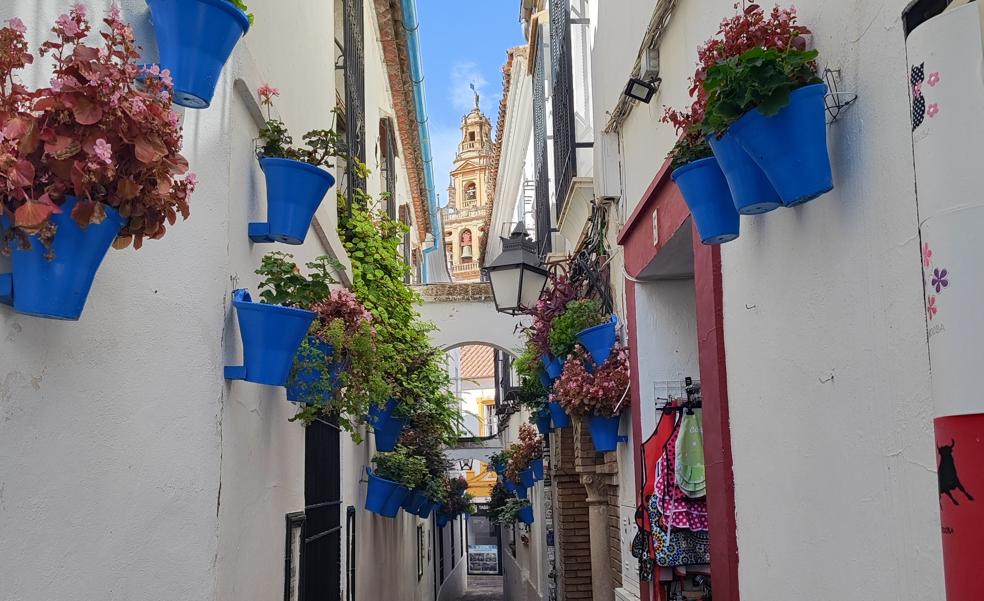 Los mejores restaurantes de Córdoba para disfrutar de su patrimonio gastronómico y la cocina tradicional de la mano de sus reconocidos chefs