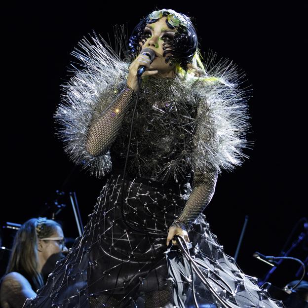 La cantante islandesa Björk.