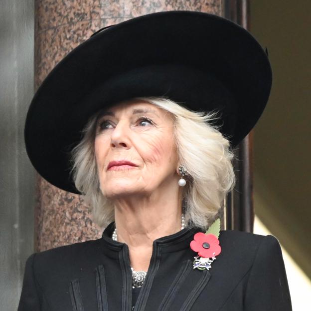 La nueva preocupación de la reina Camilla: su sobrina favorita padece una dolorosa enfermedad