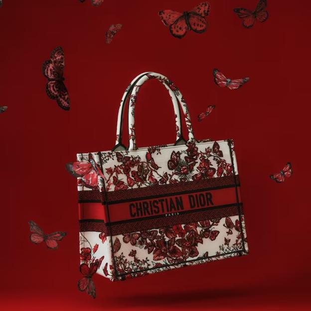 Bolso Book Tote de Dior.