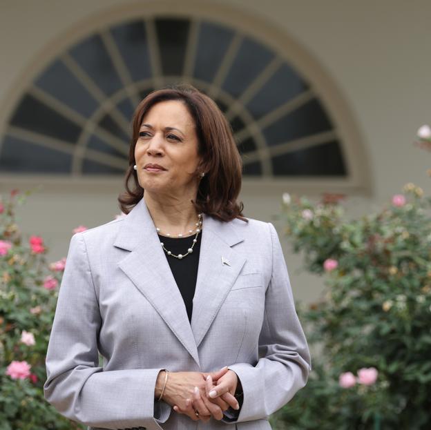 Objetivo: anular a Kamala Harris. Por qué la mujer más poderosa de Estados Unidos tiene a casi todos en su contra