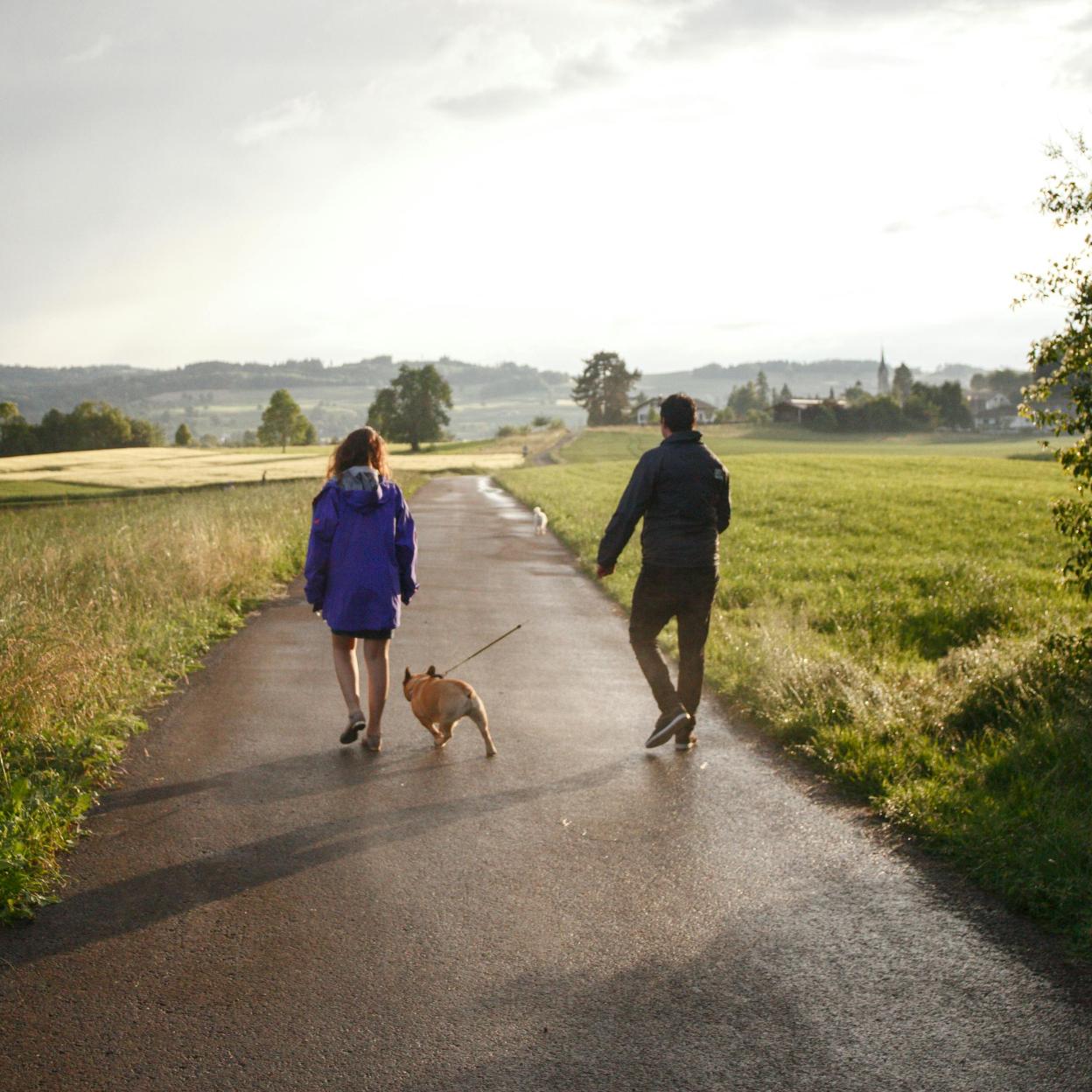 Pareja caminando con su perro./pexels / jonah mohamadi