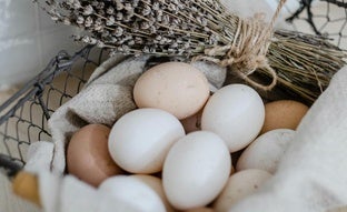 Estos son los mejores huevos de supermercado, según la OCU