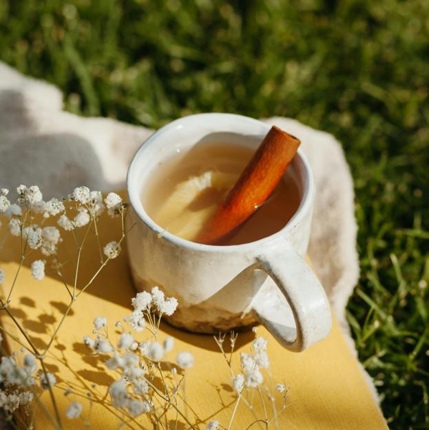 Infusión de canela