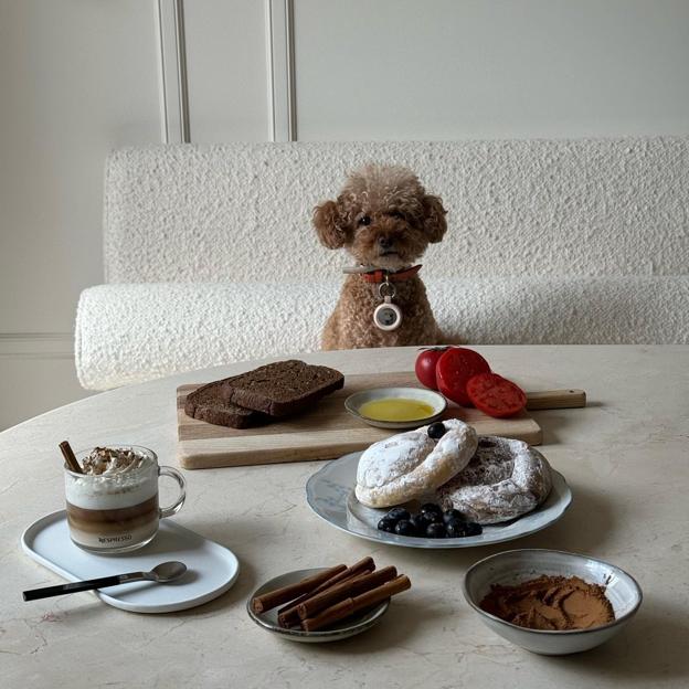 Jacin, el perro de Tamara Falcó acompañándola en uno de sus desayunos. 