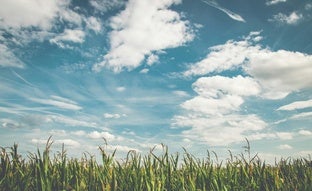 Así funcionan las Cabañuelas de agosto: de la lluvia en San Lorenzo a las olas de calor, la predicción del tiempo en España para 2025