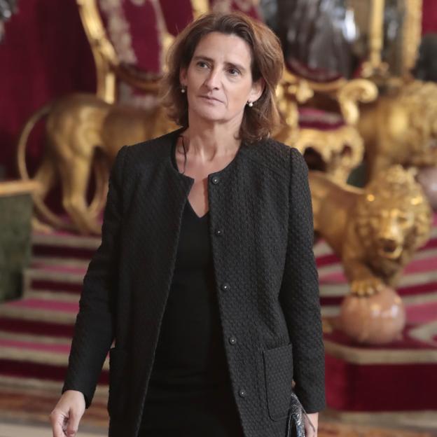 El lado más íntimo de Teresa Ribera: madre de tres hijas, buena cocinera y el golpe más duro de su vida