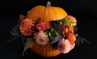 Cinco plantas y flores de otoño muy fáciles de cuidar para decorar tu casa en Halloween