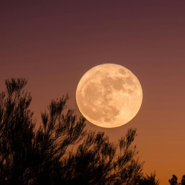 Luna Llena de mayo: cómo afecta la Luna de las Flores a cada signo del zodiaco y cómo aprovechar su energía con este ritual